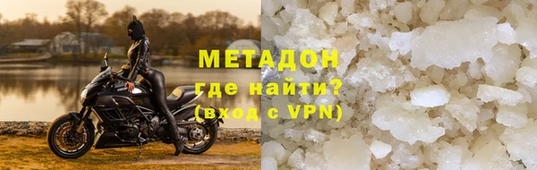 шишки Белокуриха