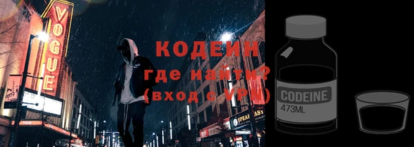 шишки Белокуриха