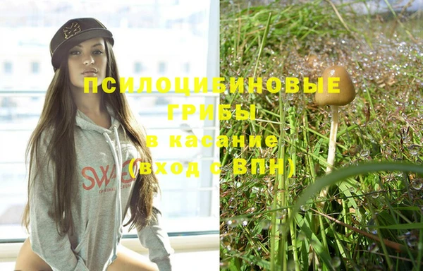PSILOCYBIN Богданович