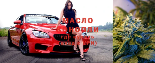 шишки Белокуриха
