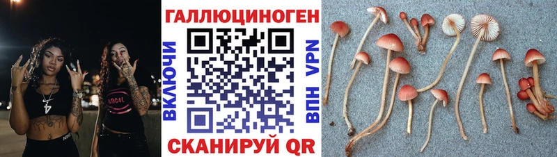 Галлюциногенные грибы прущие грибы  Михайловск 